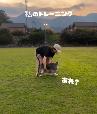 輪っかをくぐり抜ける犬2