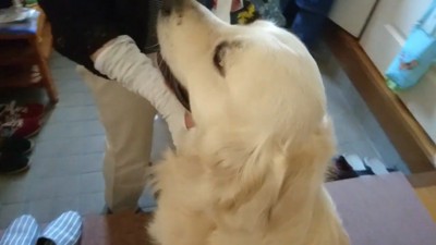 「偉いね～」と撫でると…