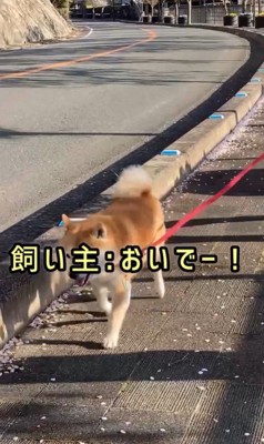 ちゃこさんを待ち伏せした時の反応6