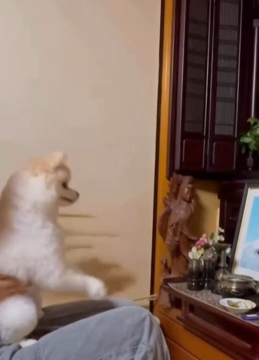 本当はお供えを狙ってる！？