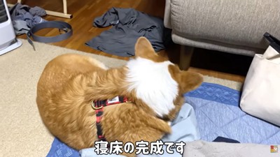 眠るはなちゃん