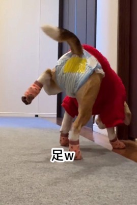 おやつを食べてると…