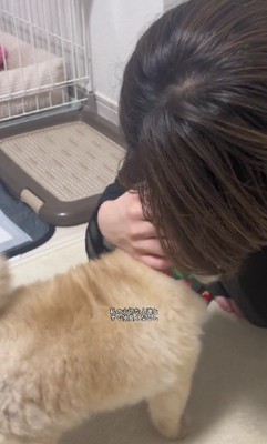 お客さんも大好き♪