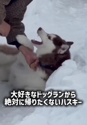 「いやだ～！！」