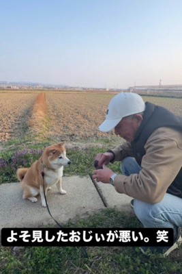 おじいちゃんと富士くん