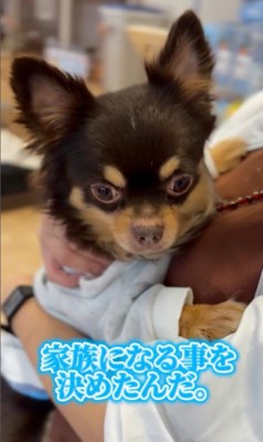 幸せを掴んだしずと君5