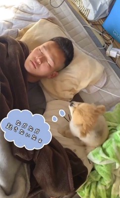 眠っている飼い主の隣に座る犬