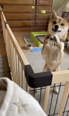 朗らかな表情！