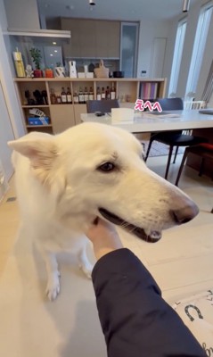 「おかえり〜」