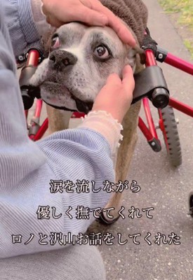 ロノちゃんの反応は…