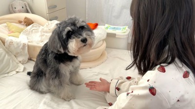 長女ちゃんとジジちゃん
