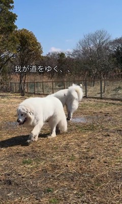 オフ会でのダンボくんたちの様子7