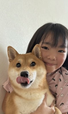 小豆柴ではなかった！