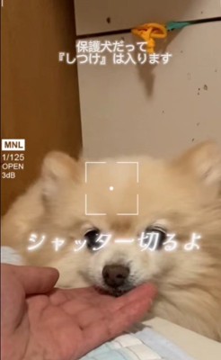 まりもちゃんの変化5