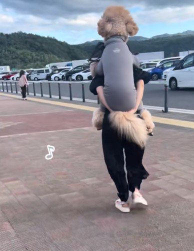 二度見しちゃいそう♡