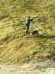 しっかりと確認できた