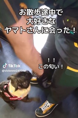 匂いを嗅ぐヴィヴィちゃん