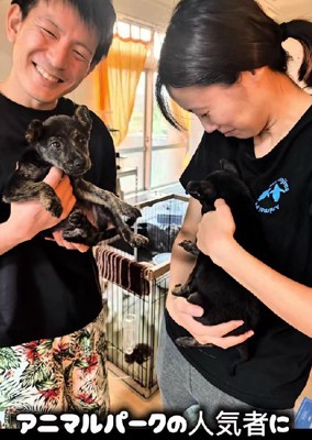 アニマルパークの人気者に
