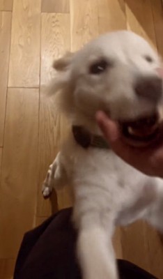 ママにどーん!!