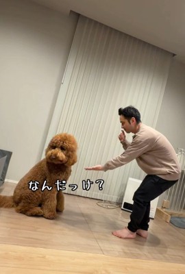 「おかわり?」