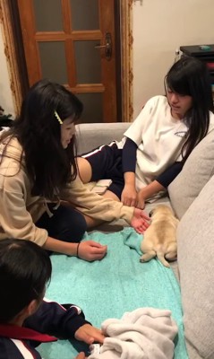 恐る恐る子犬に近寄ると…