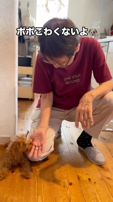 女性の手を甘噛みする犬