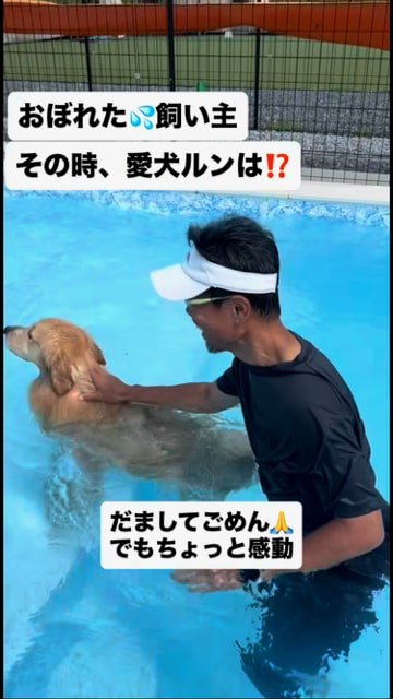 泳ぐ犬の背中をなでる飼い主さん