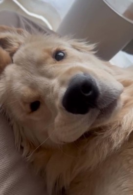 あどけない顔の麹くん