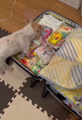 「いい感じのスペースがあるじゃん♪」