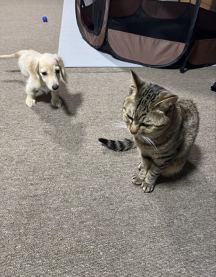 仲良し