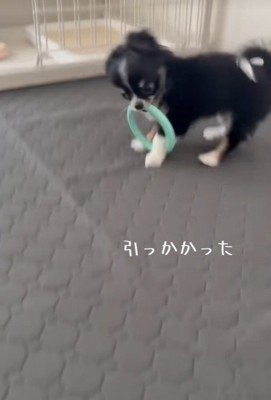 「もう～っ、なんで取れないんだよ！」