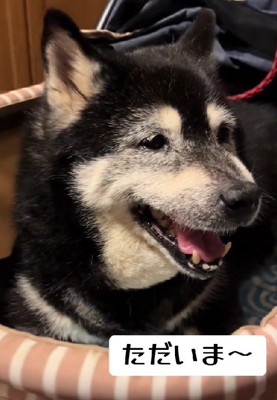 「楽しかった」