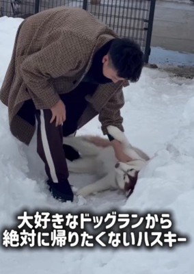 全然動かない…