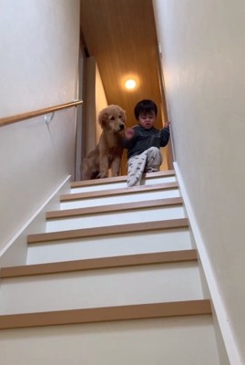 弟くんを見るころもちゃん