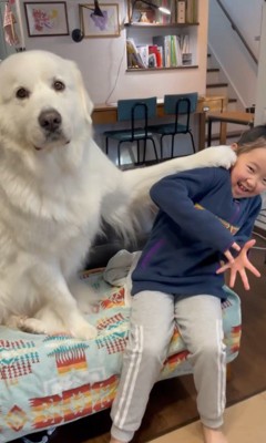 サンちゃんと女の子のやり取り3