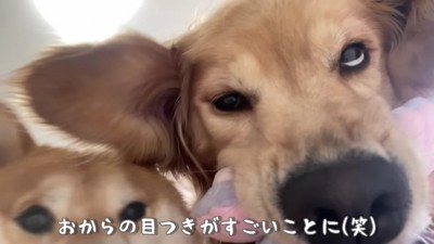 2匹はとっても仲良し♡