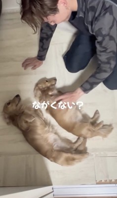 「だいぶ聞きましたよ」