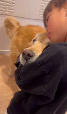 お出迎えするきなこちゃん