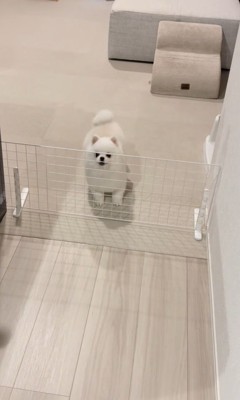 お出迎えの準備万端