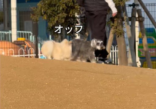 顔面がおしりに接触