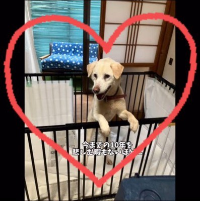 三郎くんが幸せを掴むまで8