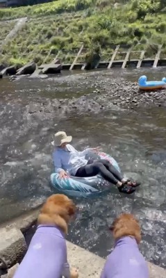 「ママが流されてる!?」