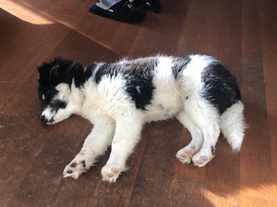 匿名の投稿画像