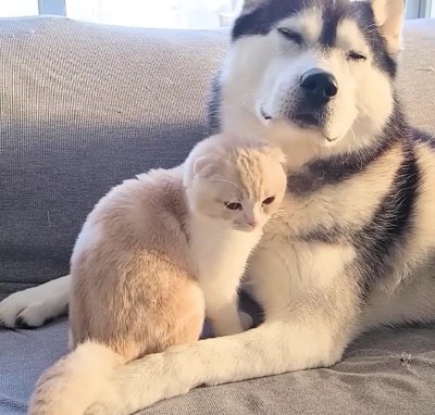 本当の親子みたい…♡