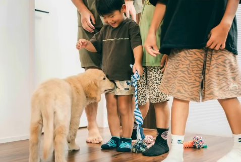 子犬を見つめる子供たち