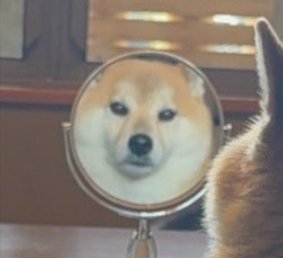 シンデレラフィット