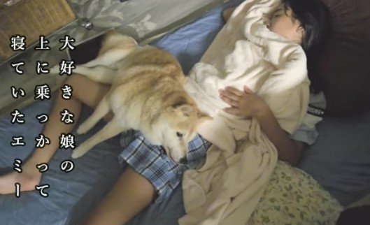 妹に寄り添いたい