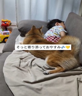 寄り添って眠る男の子と犬
