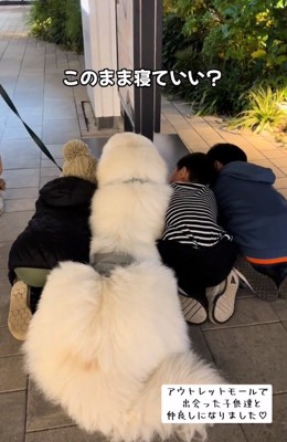 可愛い後ろ姿たち