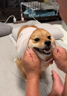 頭から服をかぶせる